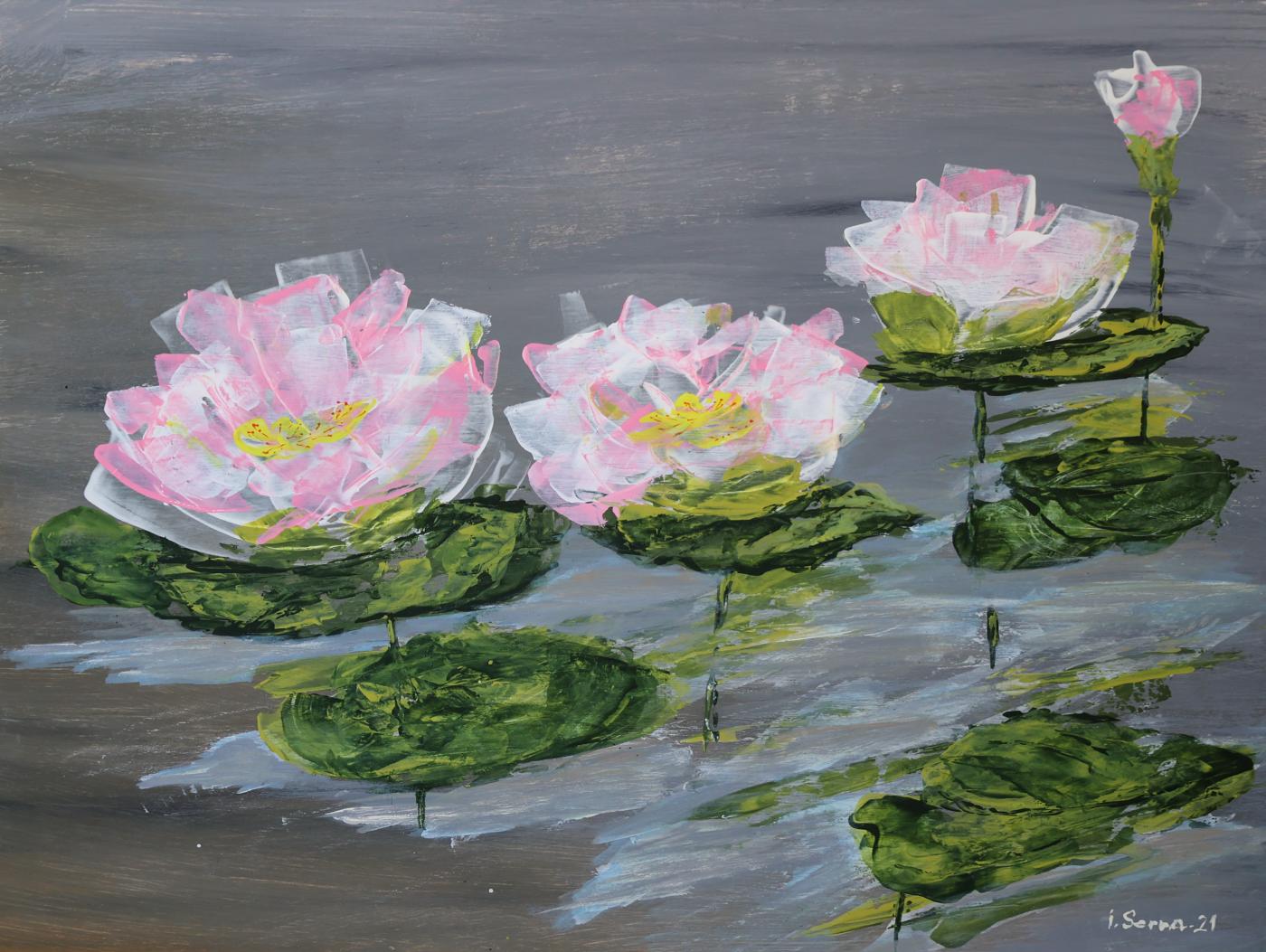 Lys roses de marais