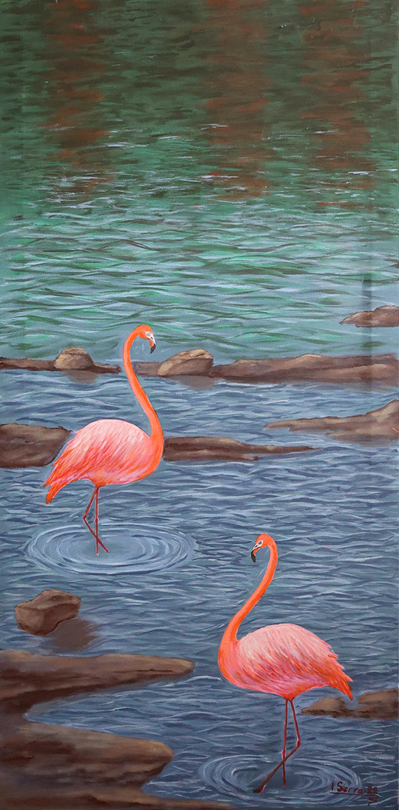 Flamants
