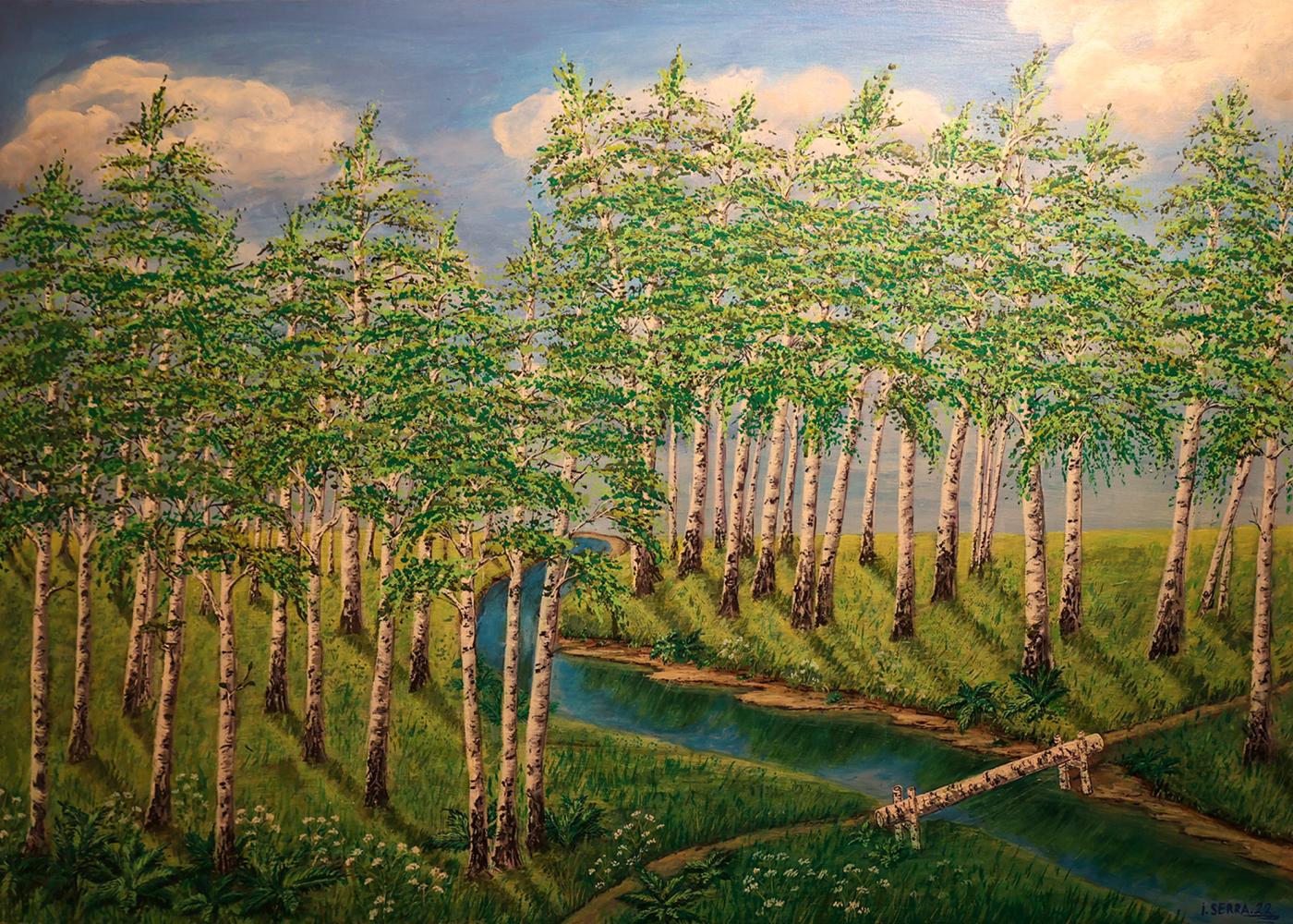 Bosquet de bouleaux